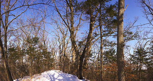 trees winter sunset sky snow nature rock landscape russia hill harmony vladivostok primorye