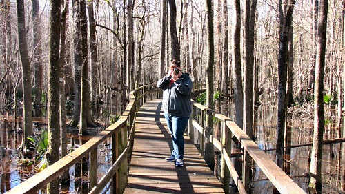 IMG_0093 by skitpero, trees lake sc water forest francis four wildlife south holes swamp carolina boardwalk cypress blackw