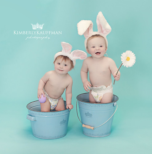 baby bunnies in blue buckets