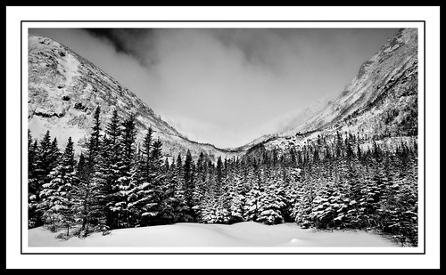 Tuckermans with borders | by SIMMS8