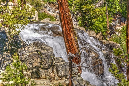 lowereaglefalls eaglefalls waterfall rushingwater flowingwater trees rocks water waterpictorial eldoradocounty emeraldbaystatepark california laketahoe joelach