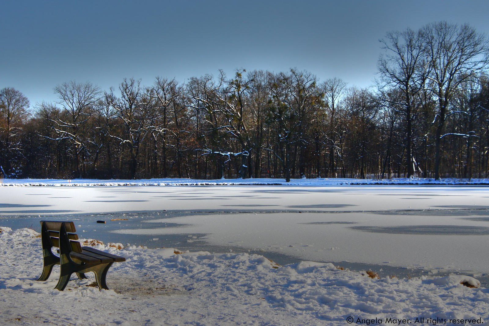 Winter in Nymphenburg Park