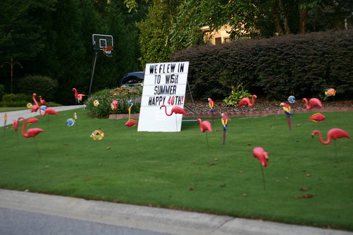 American Practical Joke - Plastic Lawn Flamingos | by nickgraywfu