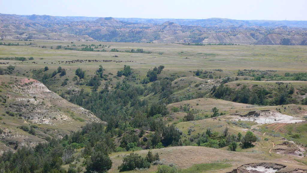 Big Plateau Trail