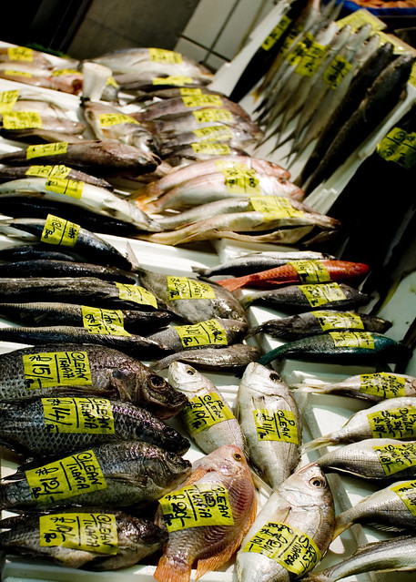 Billingsgate Market: Fish labels