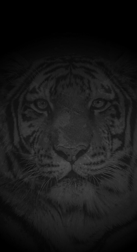 Richmond Tigers iPhone X Wallpaper (Black) | Splash this wal… | Flickr