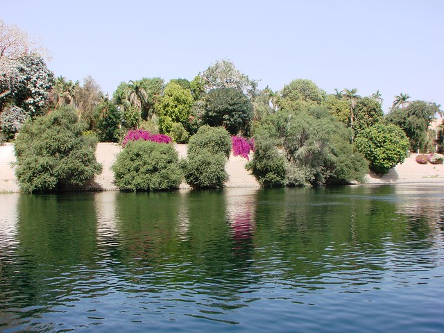 The Nile Garden