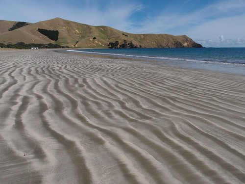 sea newzealand beach coast sand pattern coromandelpeninsula portjackson