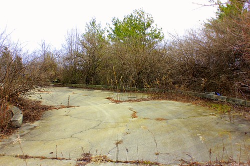 Race Track by Marbeck53, trees abandoned grass racetrack canon landscape eos weeds ruins scenery pavement overcast oh cracks 