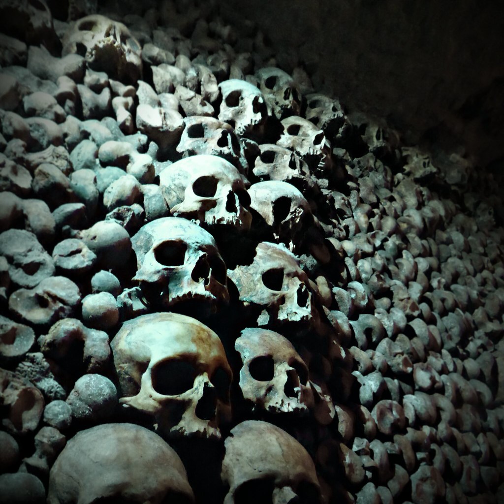A wall of bones and skulls