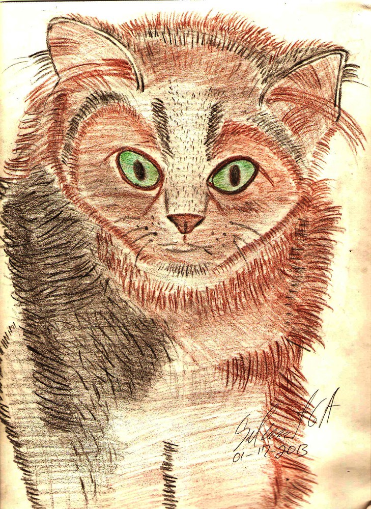 A realistic drawing of a cat for you to try