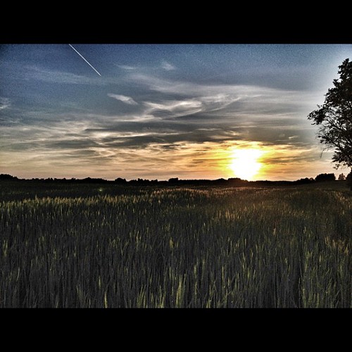 sunset sky sun nature uploaded:by=flickstagram instagram:photo=18918917936898643721257228