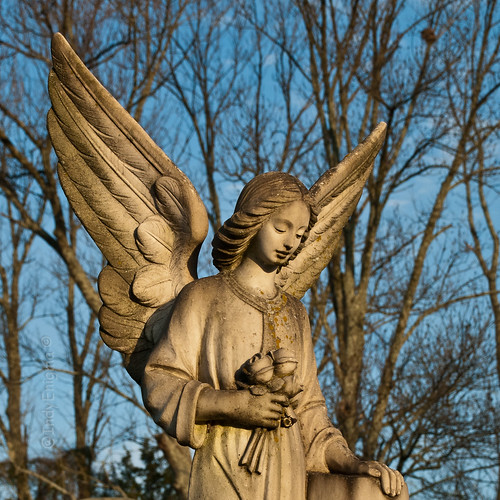 blue sky tree cemetery statue angel dof