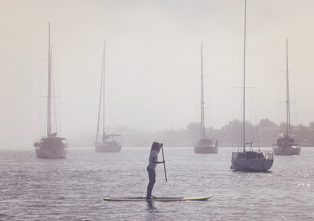 stand up paddleboard @ Newport
