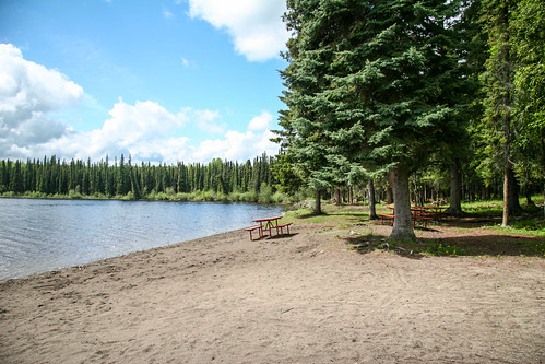 Musreau Lake PP - Beach