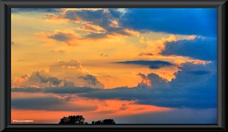 DSC02444_1 - Sunset Over Indiana Corn Field