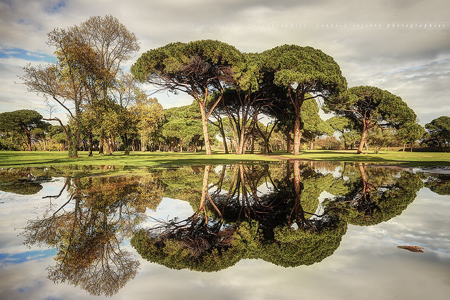 [ HDR ] Puddles Reflection at the Golf Old Course Cannes - Mandelieu #3