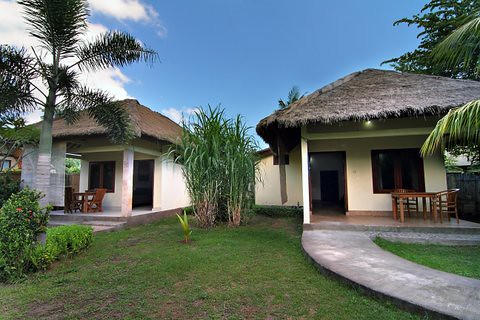 Coconut Dream