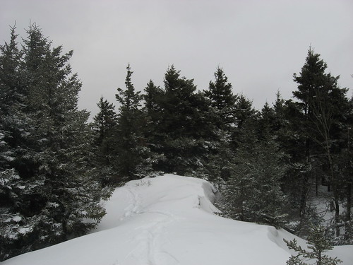 snow outdoors vermont nieve fir snowshoeing spruce vt greenmountains latewinter thedome pownal