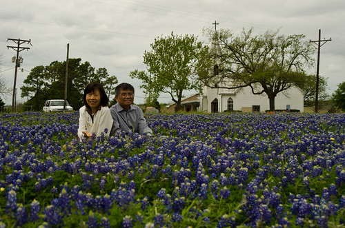 My Parents by hey tiffany!, spring texas bluebonnets