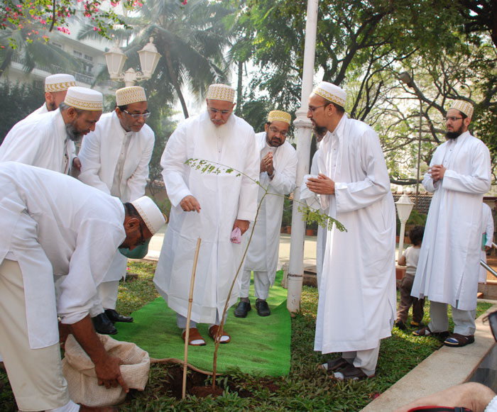 Mufaddal MaulaTUS_Tree Planting