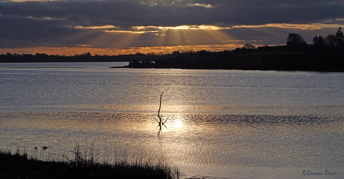 sunrise wexford ireland beautiful scenery scenic river