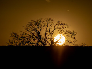 sunset-4110139.jpg