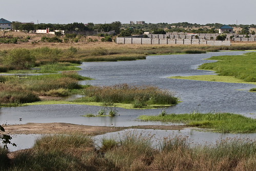 Küstenlandschaft in Ghana - Sukumono Lagoon , NGIDn1118253305 by NABU|naturgucker, ngidn1118253305 naturguckerde sukumonolagoon cklausewald