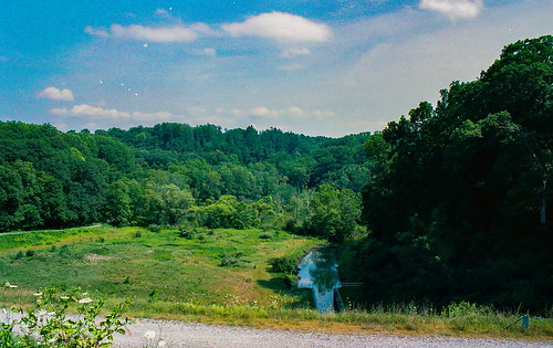 nikon n80 kodak gc 400 35mm film marsh creek reservoir marshcreekstatepark outside outdoor nature