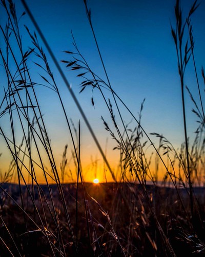 I have to admit I love #sunset   #sonnenuntergang #bluesky #blue #sun #instasky #skylovers  #gras #highcontrast  #Olympus #omdem10mkii #omd #olympusomd #olympus17mm by The Photonerd, instagramapp square squareformat iphoneography uploaded:by=instagram