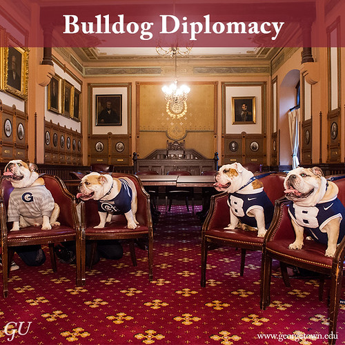 Jack the Bulldog and Butler Blue Visit at Georgetown