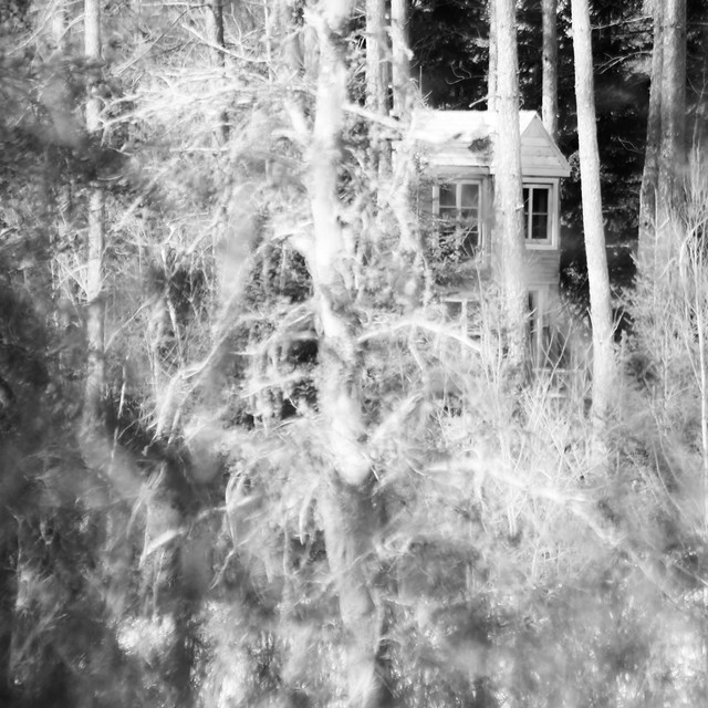 Cachée dans la forêt... où s'écoule l'enfance... la maison dans les arbres...!!!