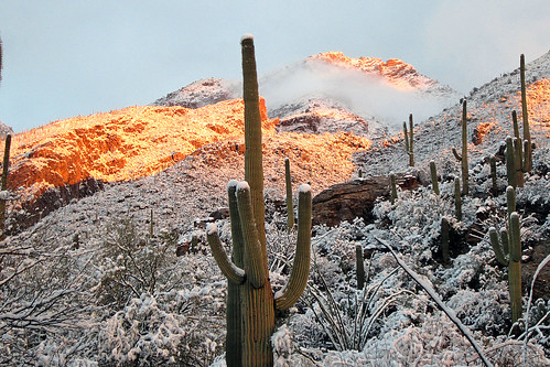arizona snow tucson