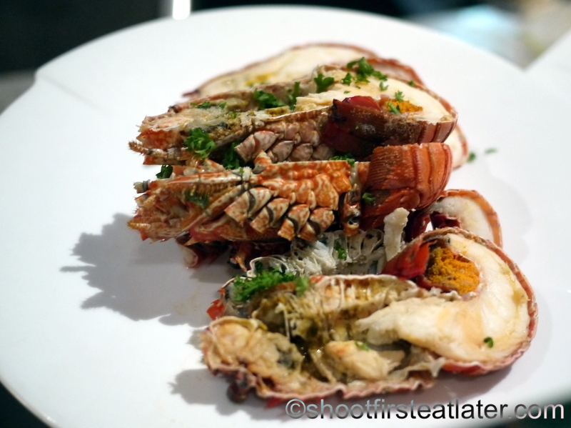 Flathead Lobster Shrimps On Ice Fresh Slipper Lobster Flathead Boiled For  Cooking With Lemon Parsley Rosemary In The Seafood Restaurant Kitchen Or  Seafood Market Rock Lobster Moreton Bay Bug Stock Photo -