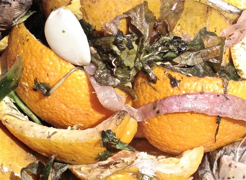 Compost | by elbrozzie