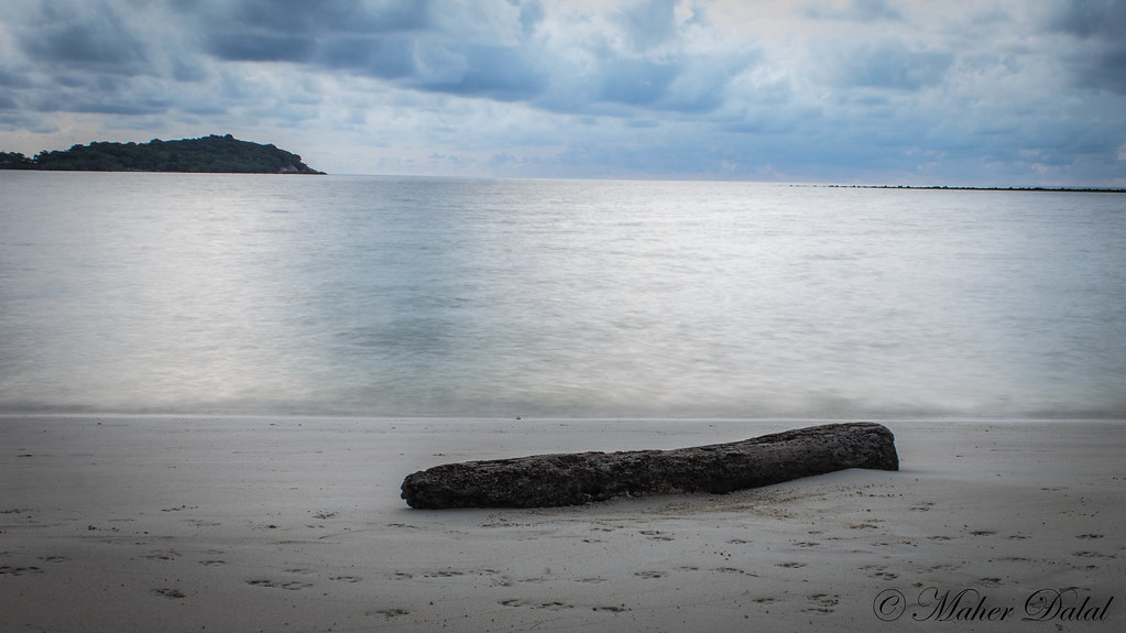 log on the beach