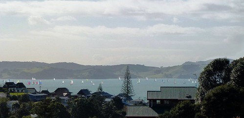 sea newzealand home water pine landscape boats island sailing view harbour sails auckland yachts maraetai waiheke