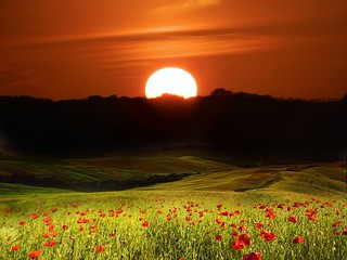 N.Ireland Sunset Shot Using Nikon Coolpix and edited on iPhone 5