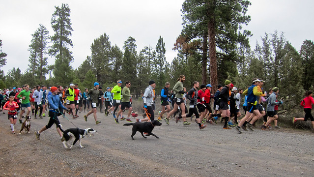 Peterson Ridge Rumble 40 Mile & 20 Mile Trail Run - Sisters, Oregon