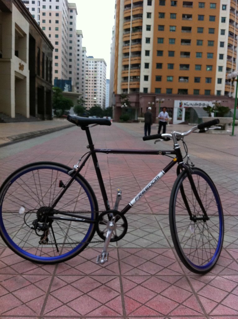 Miyata freedom | P the Giant | Flickr