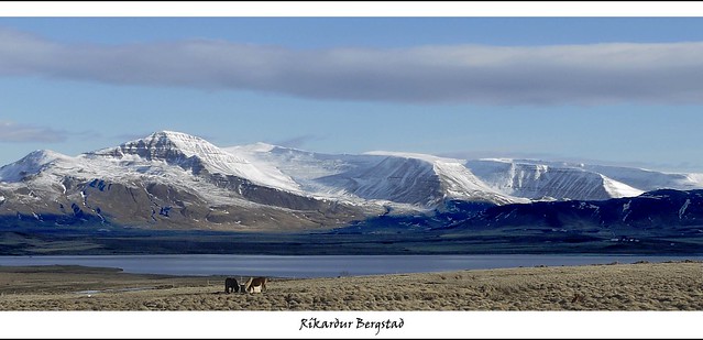 North Iceland - winter scene