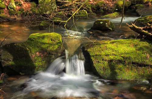 creek waterfall moss spring rocks stream pennsylvania falls cascades creativecommons sprucerun unioncounty baldeaglestateforest sprucegap