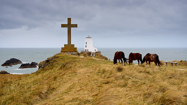 Horses and cross