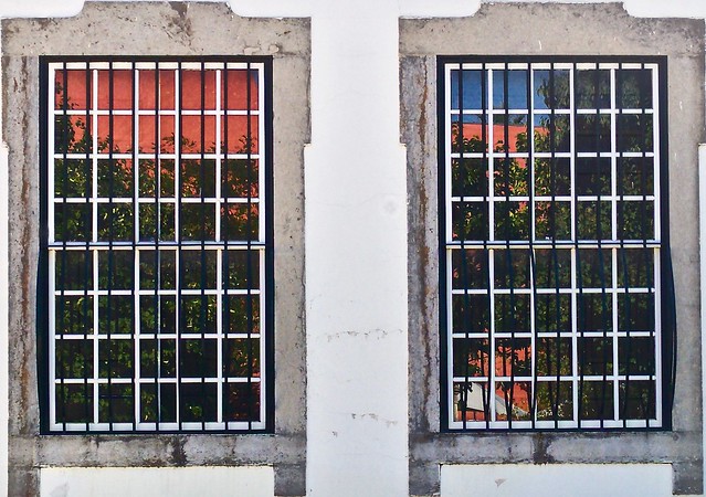 Two windows and the garden reflections