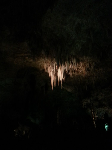 8634278959 2ec819ca7c USA 2013, Tag 21   Carlsbad Bat Caverns