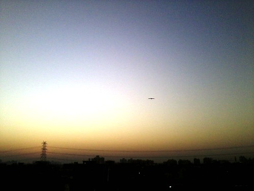 blue sky bird yellow sunrise dawn flying eagle eagleflying yellowbluesky