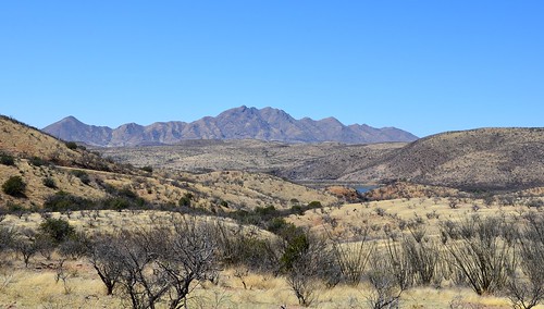 statepark arizona patagoniastatepark sonoitacreekstatenaturalarea nikond7000 nikkor18to200mmvrlens