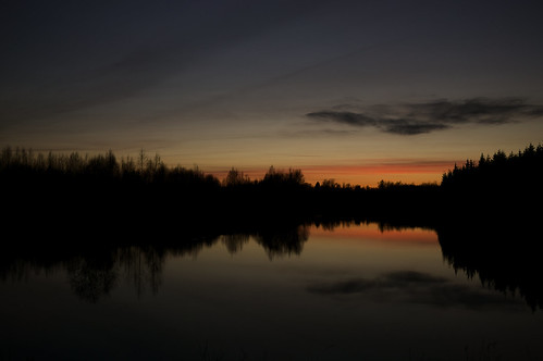 trees sunset lake reflection estonia reservoir 824 carlzeiss sel24f18z sonnarte1 sonynex6 undireservoir ilobsterit lähte