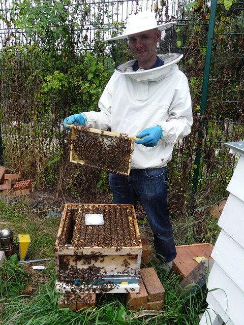 Erection of Honey Bee Hives at Stave Hill Ecology Park, London SE16 @ 27 August 2012 (1 of 4)