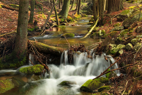 Spruce Gap (4) by Nicholas_T, Bald Eagle State Forest, Union County.
Spruce Gap is a rugged, rocky, heavily forested breach in th